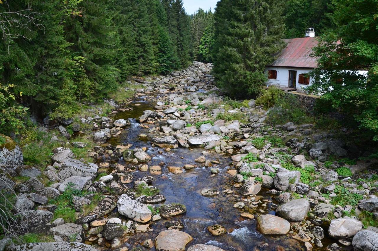 Chata - Sport - Ski Hotel Korenov Exterior photo